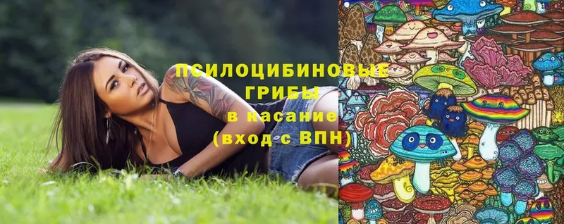 Псилоцибиновые грибы Magic Shrooms  Бирюч 